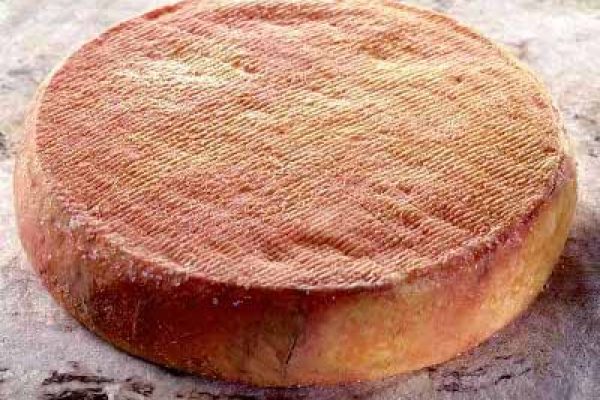Le munster – le fromage de l’Alsace et des Vosges