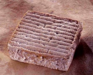 Pont l'évêque : autre fromage de Normandie