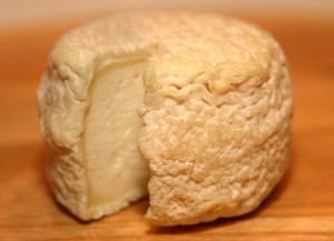 Crottin Chavignol de la famille des fromages à pâte molle