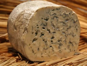 Fourme d'Ambert, fromage persillé