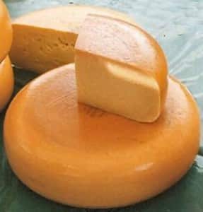 Le Gouda, fromage hollandais