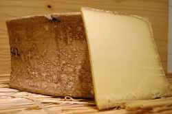 Cheese Beaufort tasting