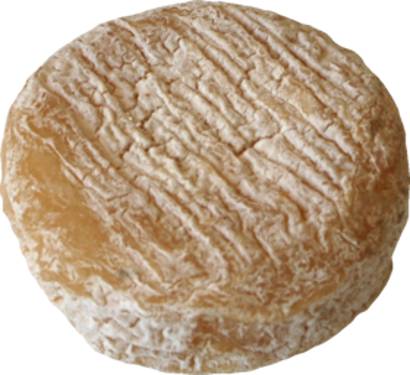 Fromage picodon