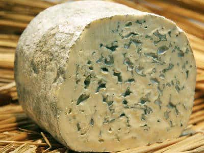 Fourme d'Ambert