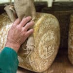 Le Laguiole, fromage d’Auvergne du plateau de l’Aubrac