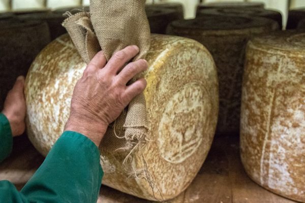 Le Laguiole, fromage d’Auvergne du plateau de l’Aubrac