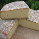 Saint-Nectaire – fromage d’exception au gout de noisette