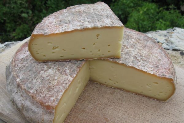 Saint-Nectaire – fromage d’exception au gout de noisette
