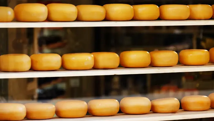 Toutes les étapes dans la fabrication du fromage