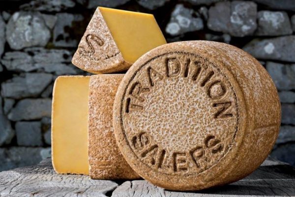 Le salers, fromage d’Auvergne de tradition et d’histoire