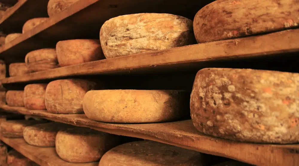 Reportage sur les fromages