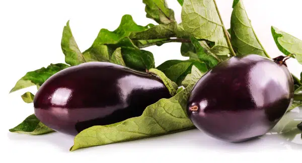 Mousaka : gratin aux aubergines