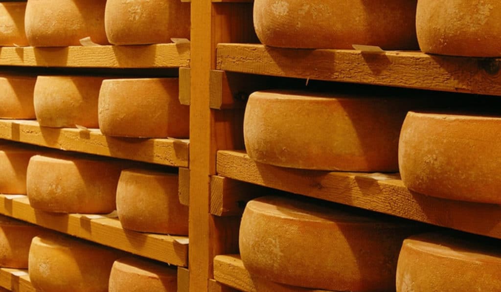Le mode d'emploi des fromages