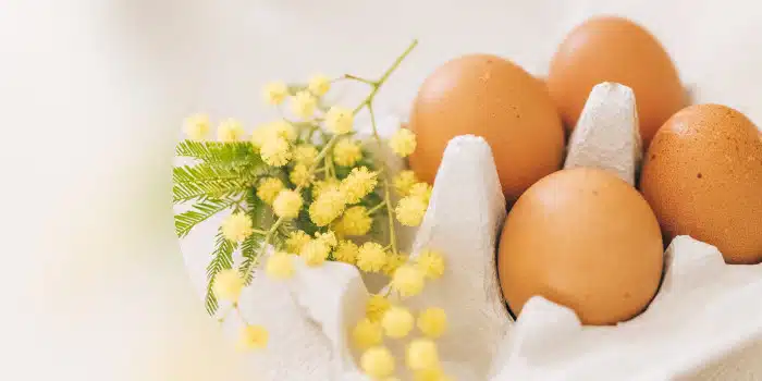 Astuces et conseils pour la recette des œufs mimosa
