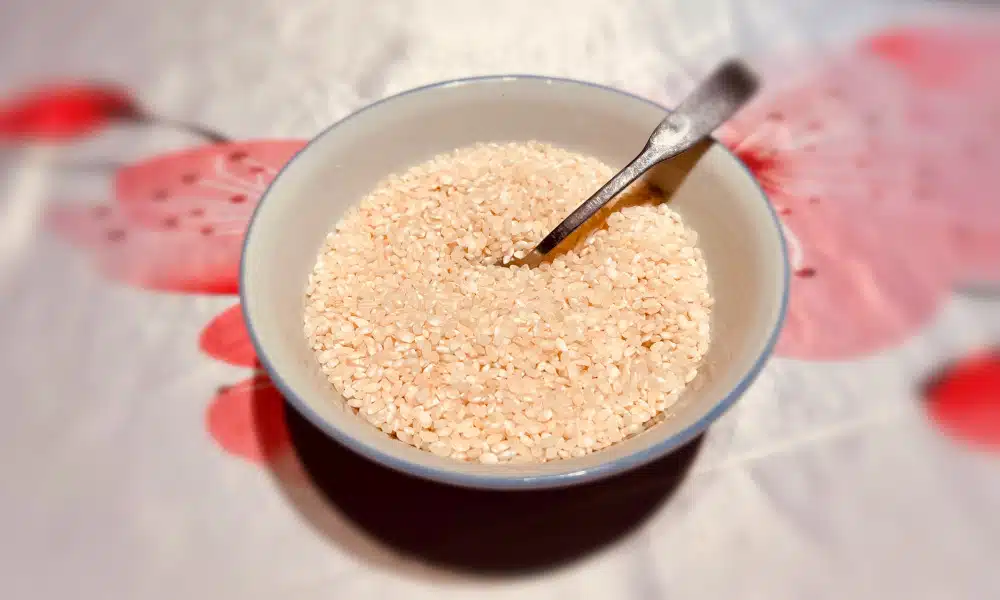 Astuces et conseils pour la recette du riz au lait